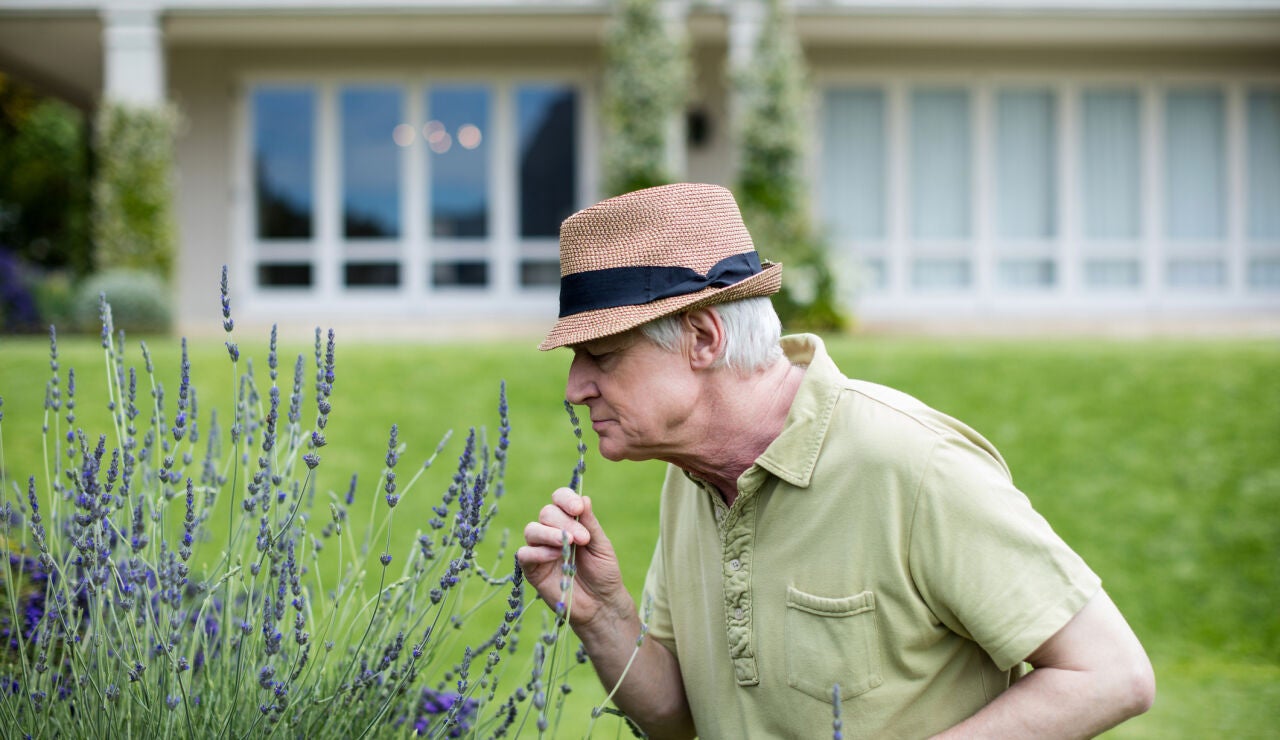 Hombre oliendo flores de lavanda
