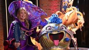 Elle MacPherson, Micr&oacute;fono de Mask Singer