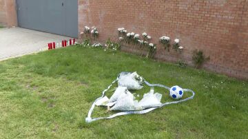 Crimen de Villanueva de la Ca&ntilde;ada