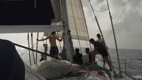 documental 2 documental 2