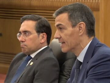 Pedro S&aacute;nchez