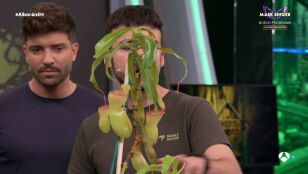Marron sorprende a Pablo Albor&aacute;n con unas plantas carn&iacute;voras muy hambrientas en El Hormiguero