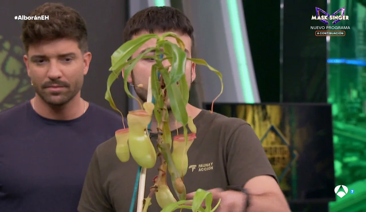 Marron sorprende a Pablo Alborán con unas plantas carnívoras muy hambrientas en El Hormiguero