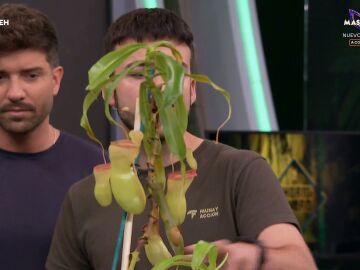Marron sorprende a Pablo Albor&aacute;n con unas plantas carn&iacute;voras muy hambrientas en El Hormiguero