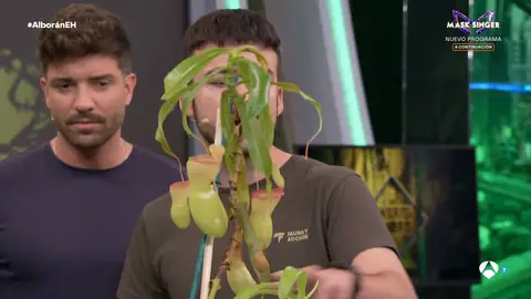 Marron sorprende a Pablo Alborán con unas plantas carnívoras muy hambrientas en El Hormiguero Marron sorprende a Pablo Alborán con unas plantas carnívoras muy hambrientas en El Hormiguero