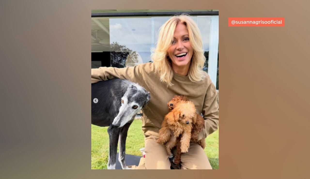 Imagen de Susanna Griso 