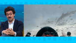 Imagen de Juan Madue&ntilde;o 