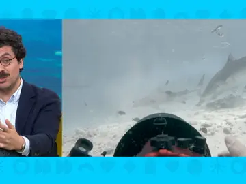 Imagen de Juan Madueño Imagen de Juan Madueño