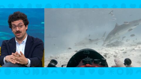 Imagen de Juan Madue&ntilde;o 