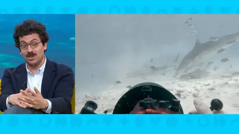 Imagen de Juan Madueño Imagen de Juan Madueño