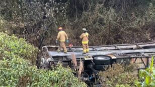 Imagen del autob&uacute;s 