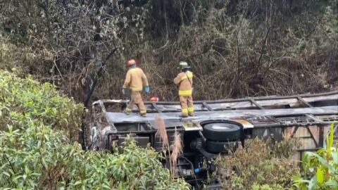 Imagen del autob&uacute;s 