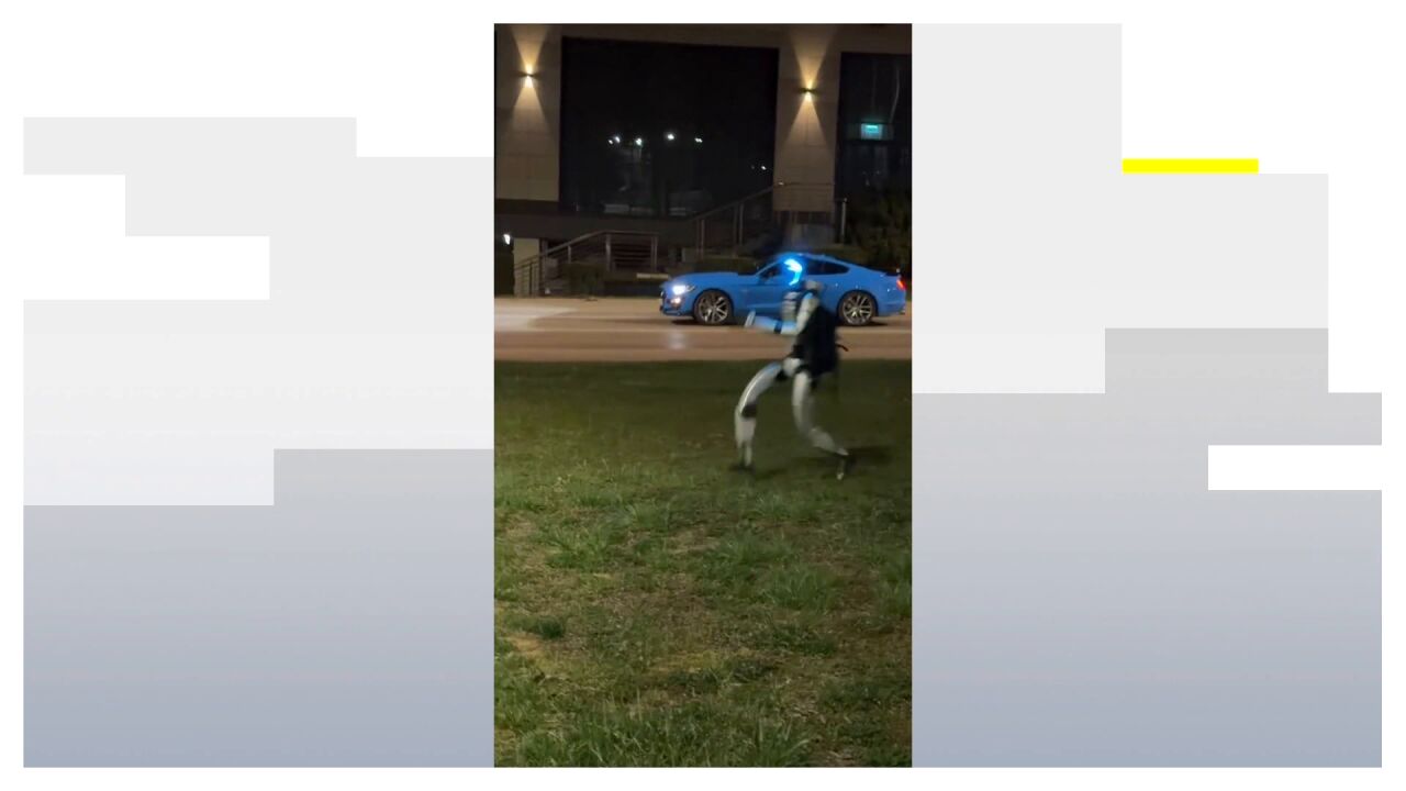 El vídeo viral de un robot humanoide persiguiendo a un grupo de jabalíes en plena calle