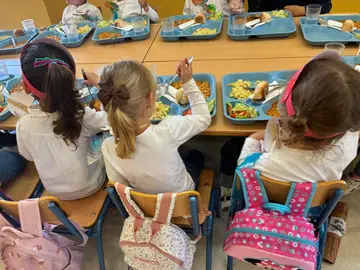 Comedor escolar Comedor escolar