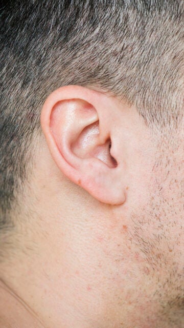 Oreja