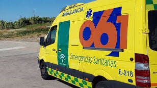  Hallan calcinado a un hombre de 92 a&ntilde;os en una parcela de Bormujos