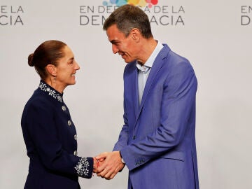 S&aacute;nchez reclama pasar a la acci&oacute;n en la defensa de la democracia