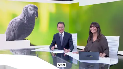 Matías Prats y Mónica Carrillo Matías Prats y Mónica Carrillo