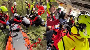 Rescatan a un hombre grave tras precipitarse de un árbol mientras lo talaba en Cantabria Rescatan a un hombre grave tras precipitarse de un árbol mientras lo talaba en Cantabria