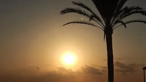 El tiempo este domingo en la Comunitat: cielo despejado, chubascos ocasionales por la tarde y temperaturas en ascenso El tiempo este domingo en la Comunitat: cielo despejado, chubascos ocasionales por la tarde y temperaturas en ascenso