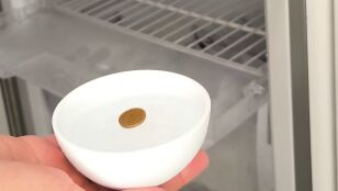 Moneda en recipiente