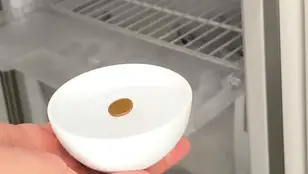 Moneda en recipiente