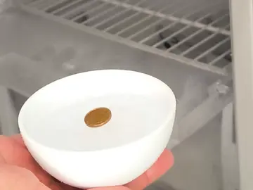 Moneda en recipiente Moneda en recipiente