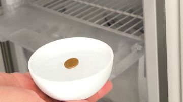 Moneda en recipiente