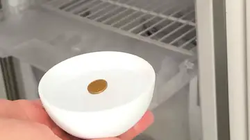 Moneda en recipiente Moneda en recipiente