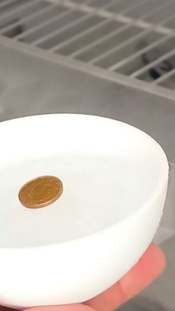 Moneda en recipiente