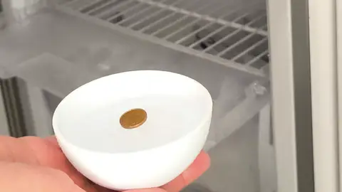 Moneda en recipiente Moneda en recipiente