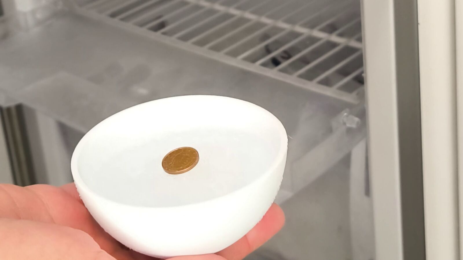Meter una moneda en el congelador: el truco para saber si la comida sigue siendo segura después de un tiempo