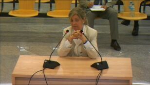 Rosal&iacute;a Iglesias