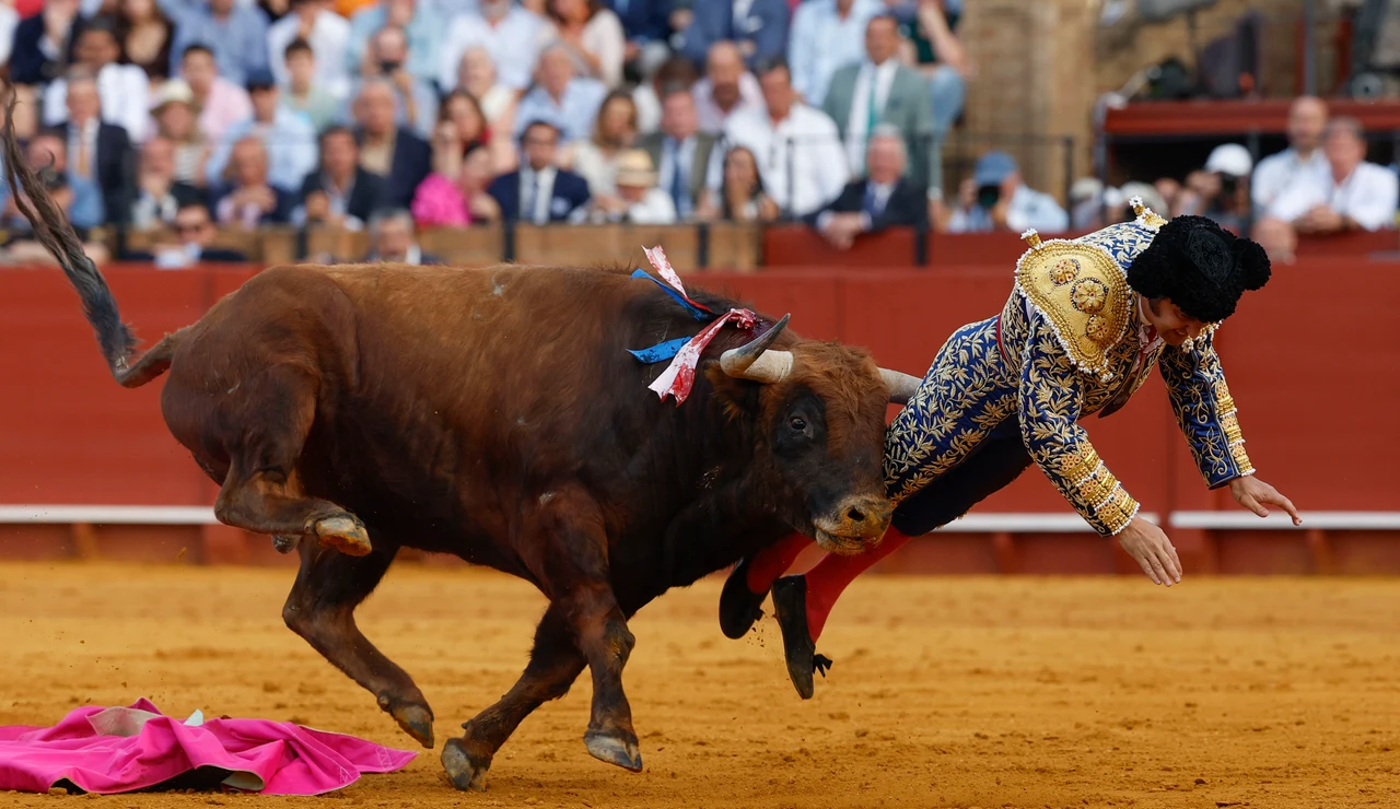 El diestro Morante de la Puebla sufre una cogida durante la novena corrida de la Feria de Abril de Sevilla con reses de la ganadería de Hermanos García Jiménez