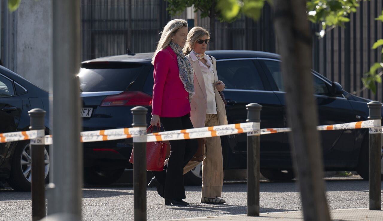 Rosal&iacute;a Iglesias