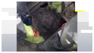 Los bomberos tras el rescate del niño en el pozo de Toledo Los bomberos tras el rescate del niño en el pozo de Toledo