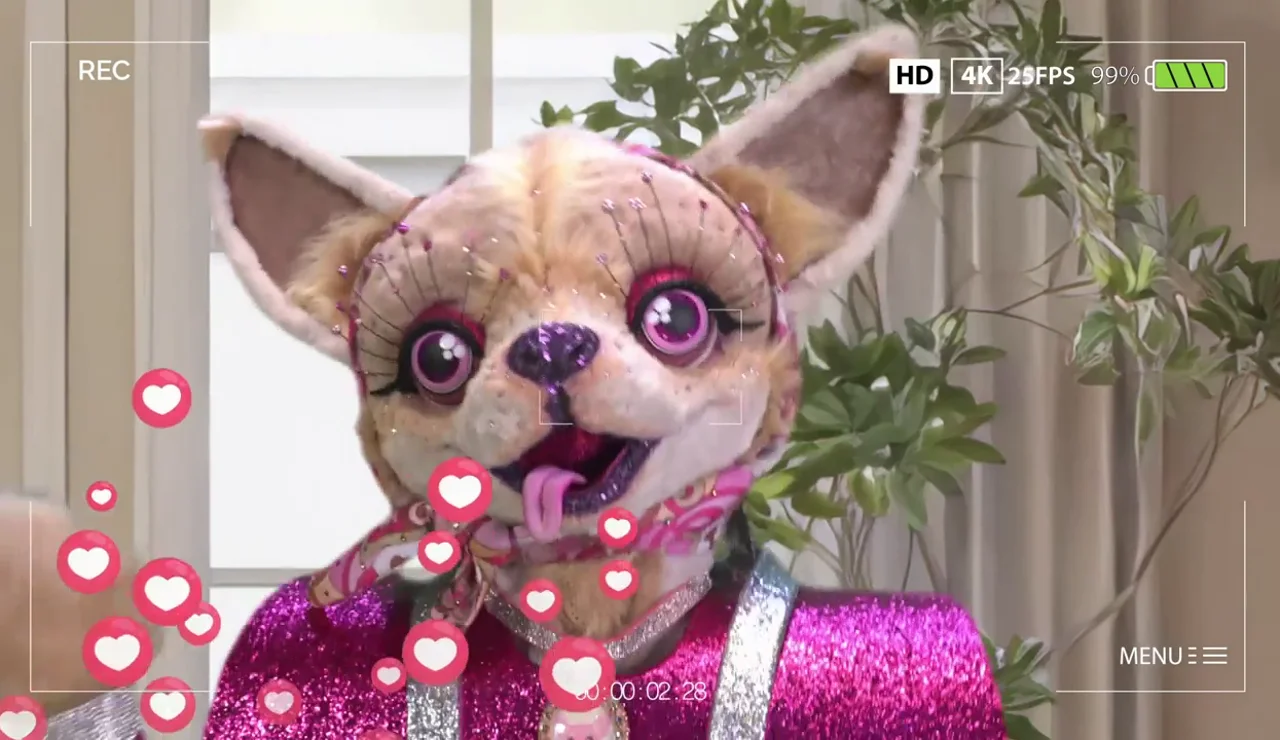 ¿Una influencer? Chihuahua se reinventa con sus nuevas pistas de Mask Singer