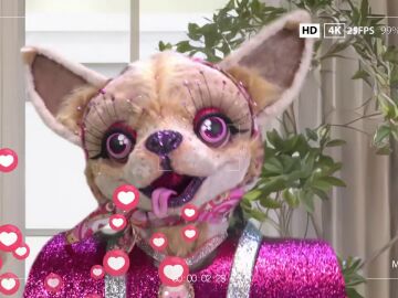 &iquest;Una influencer? Chihuahua se reinventa con sus nuevas pistas de Mask Singer