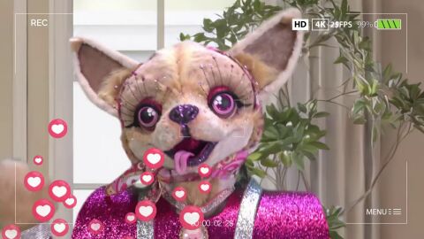 &iquest;Una influencer? Chihuahua se reinventa con sus nuevas pistas de Mask Singer