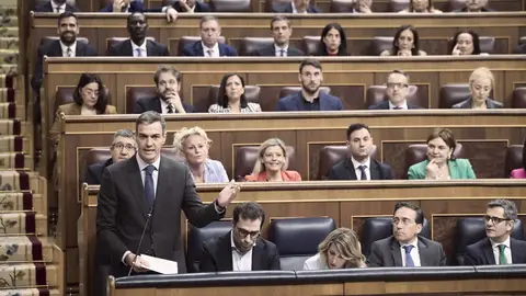 Sánchez en el congreso Sánchez en el congreso