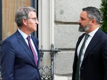 Feij&oacute;o y Abascal