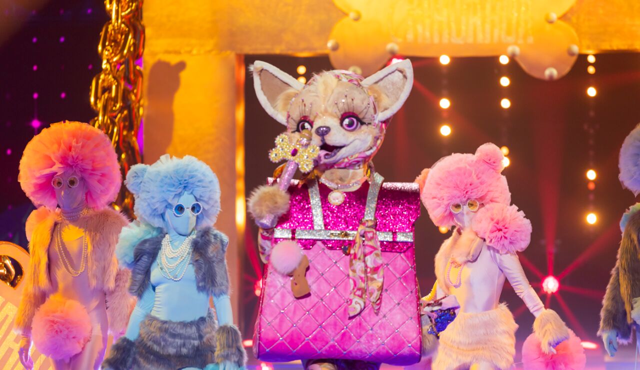 Chihuahua, m&aacute;s deslumbrante que nunca en Mask Singer con &lsquo;Can&rsquo;t get you out of my head&rsquo;