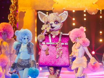 Chihuahua, m&aacute;s deslumbrante que nunca en Mask Singer con &lsquo;Can&rsquo;t get you out of my head&rsquo;