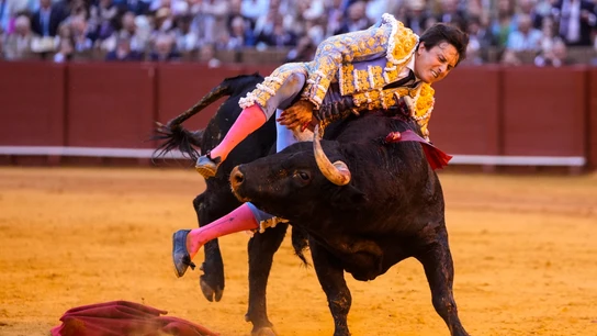 El torero Roca Rey es cogido por el quinto todo de la tarde en la decimotercera del abono taurino. A 23 de abril de 2026 El torero Roca Rey es cogido por el quinto todo de la tarde en la decimotercera del abono taurino. A 23 de abril de 2026