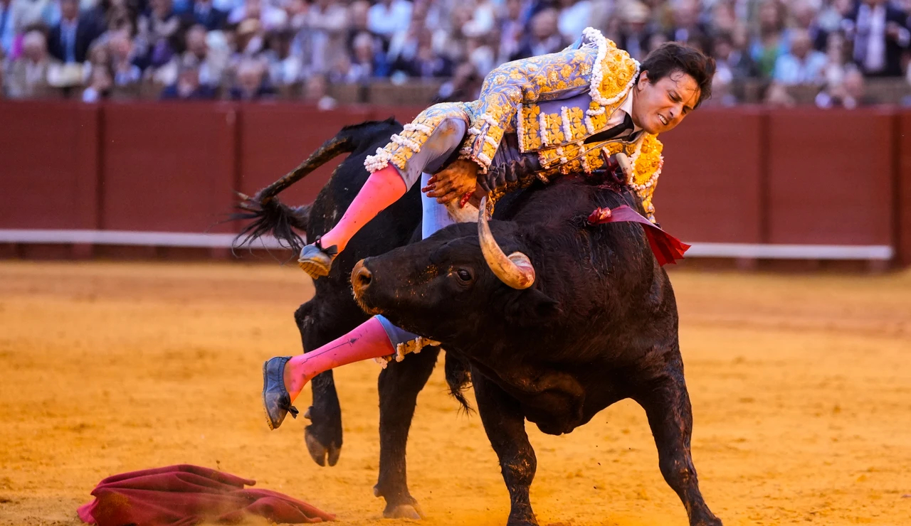 El torero Roca Rey es cogido por el quinto todo de la tarde en la decimotercera del abono taurino. A 23 de abril de 2026