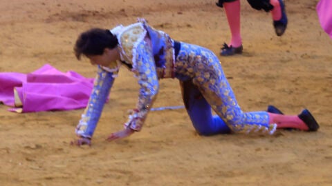 Roca Rey tras la cornada que recibió en La Maestranza