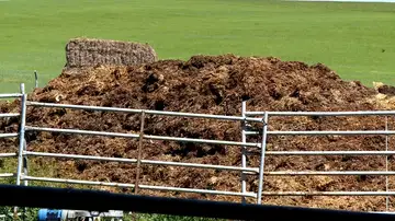 Estiércol Estiércol