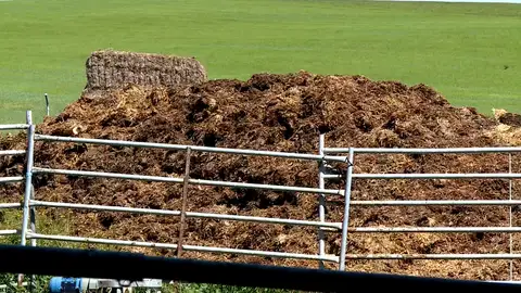 Estiércol Estiércol