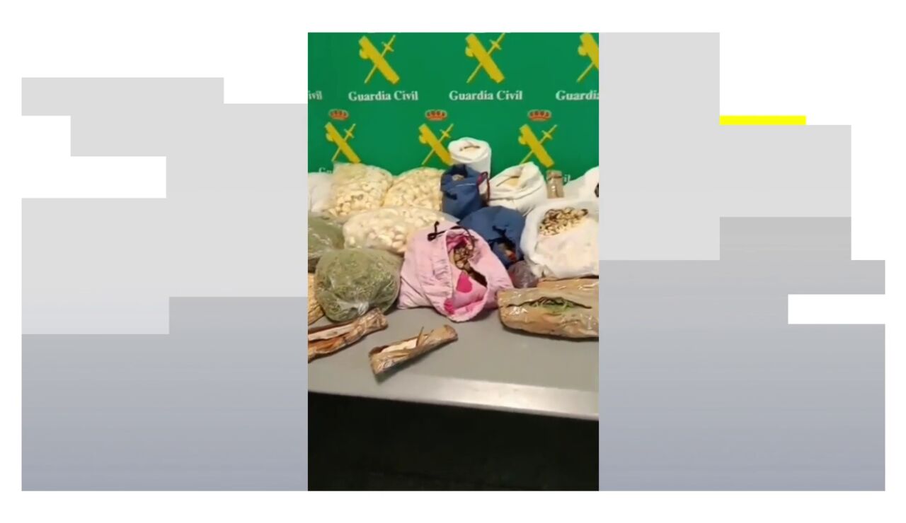 M&aacute;s de 30 kilos de alimentos ilegales y cientos de medicamentos incautados