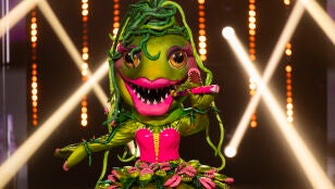 Planta carn&iacute;vora act&uacute;a en Mask Singer con un tema de Ana Mena en su estreno